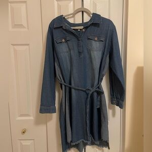 Women's Long Sleeve Denim Mini Dress